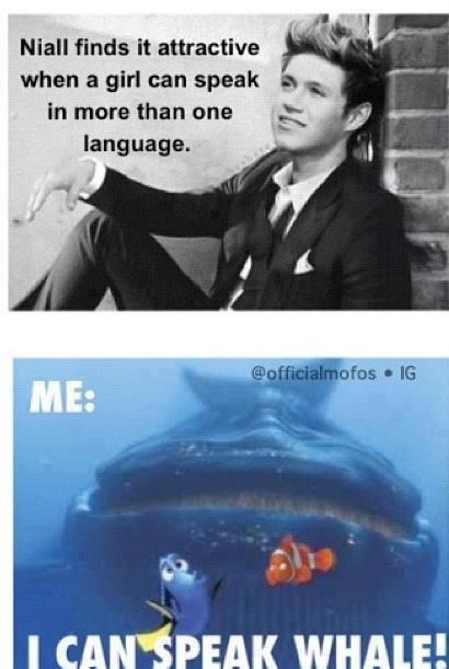 175 best arab memes images on pinterest arabic funny, arabic 439bae3774c3b51d8ac92ed932f07baf speak french speak spanish 175 best arab memes images on pinterest arabic funny, arabic