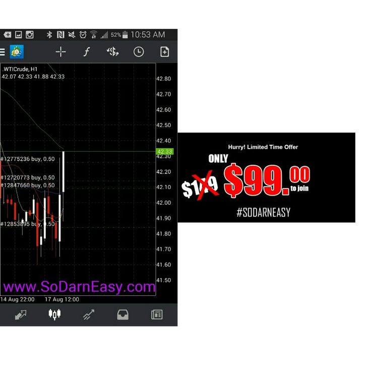 Forex traders in miami