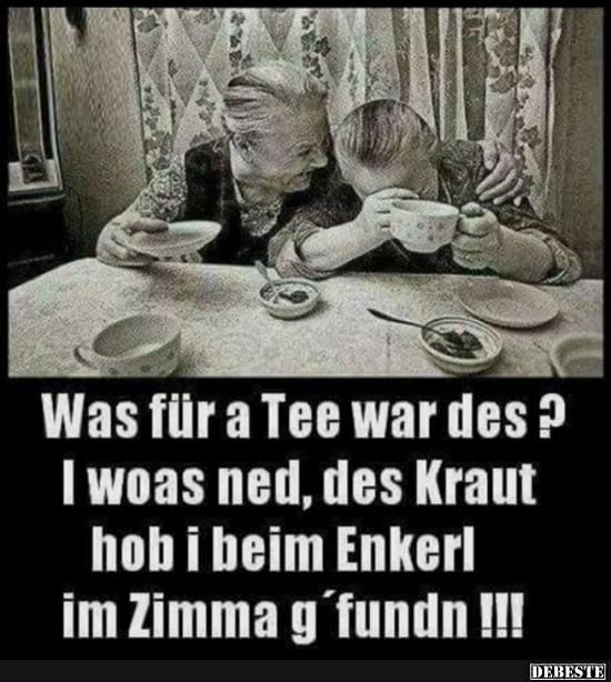 Witzige headlines für dating seiten