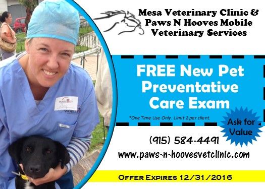 free mobile veterinary services free mobile veterinary services
