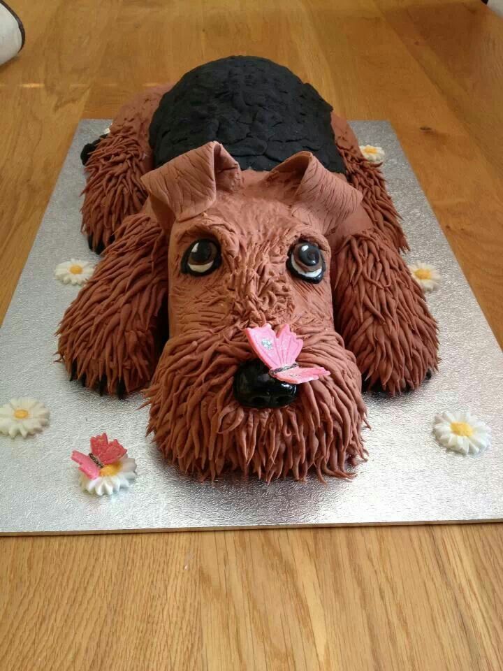 How cute is this Airedale cake! | julie | Pinterest | Cake ... How cute is this Airedale cake! | julie | Pinterest | Cake ...