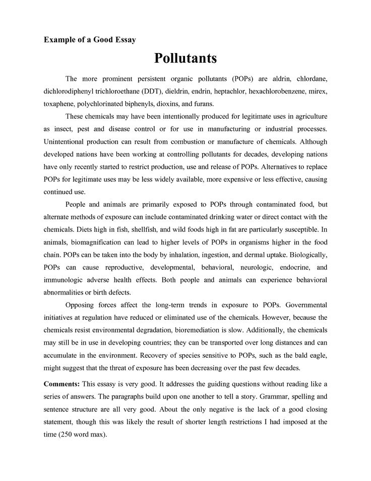 essay on self scholarship essay about self self assessment self introduction sample essay