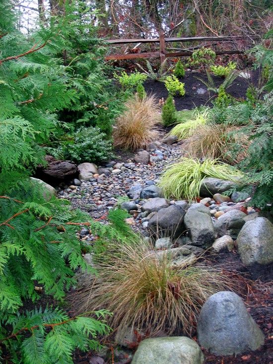 56 Best Dry Creek Beds Images On Pinterest Dry Creek Bed This dry creek bed looks real. Still, it is the perfect example of a naturalistic dry stream bed. Notice the amzing Aussie fern on the left. - 56 Best Dry Creek Beds Images On Pinterest Dry Creek Bed