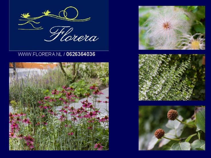 twee de hans tuin stelen van riet 25 beste idee 235 n over landhuis ontwerp op pinterest twee de hans tuin stelen van riet 25 beste idee 235 n over landhuis ontwerp op pinterest