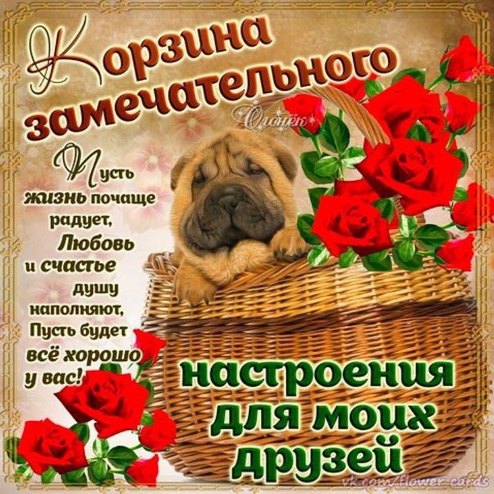 Картинки пусть жизнь радует тебя, нарисовать открытку день