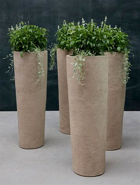 Best 20+ Large indoor planters ideas on Pinterest | Large indoor ... Best 20+ Large indoor planters ideas on Pinterest | Large indoor ...