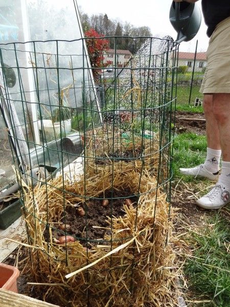107 best Jardin images on Pinterest Gardening, Urban homesteading - comment fabriquer un composteur exterieur 107 best Jardin images on Pinterest Gardening, Urban homesteading - comment fabriquer un composteur exterieur