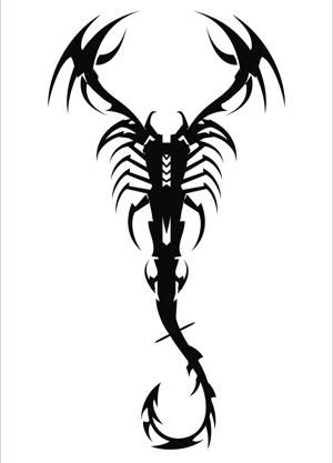 130 best scorpion images on pinterest costume ideas flowers and 130 best scorpion images on pinterest costume ideas flowers and