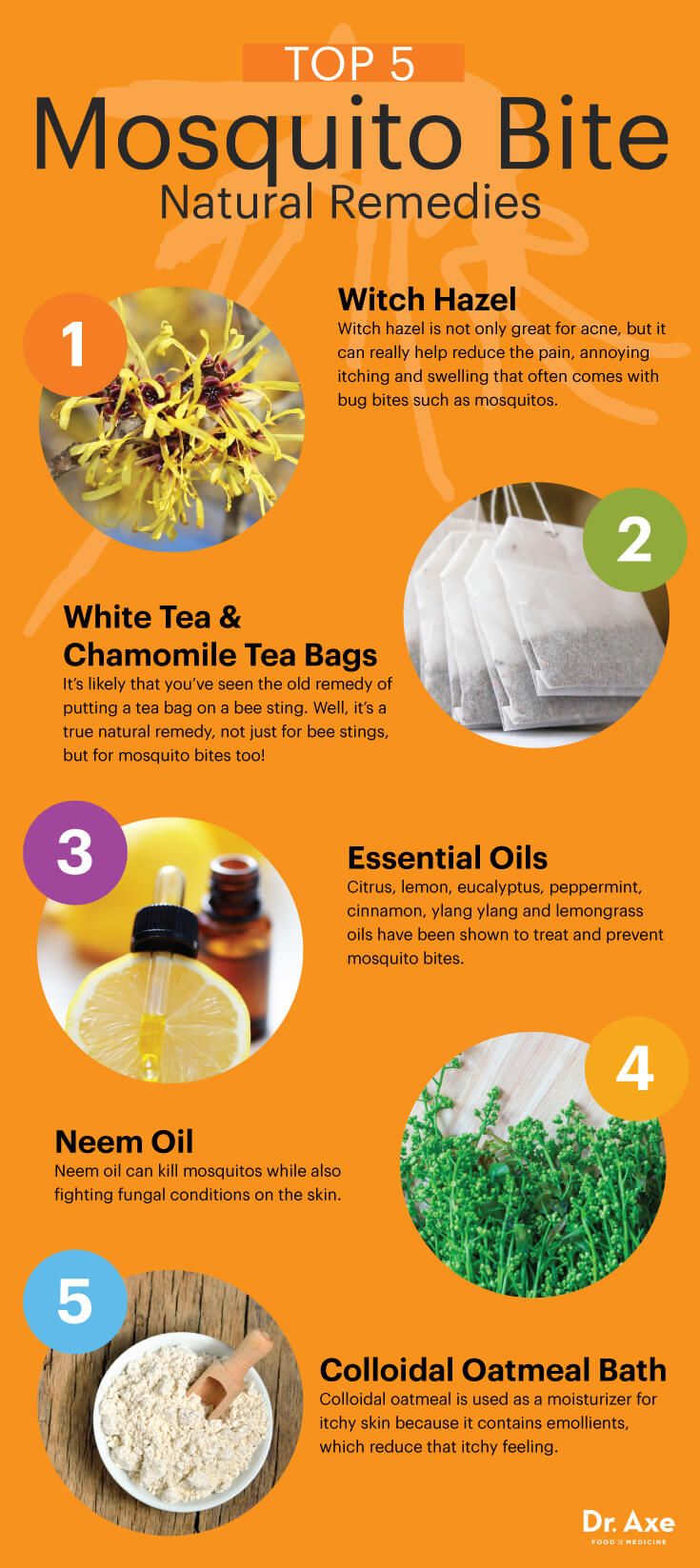 how to get rid of mosquitoes yard how to get rid of mosquito bites health tips pinterest home remedies remedies and for mosquito bites how to get rid of mosquitoes yard how to get rid of mosquito bites health tips pinterest home remedies remedies and for mosquito bites