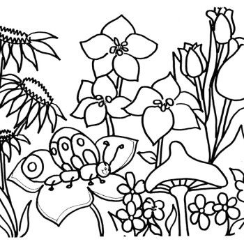 28 best flowers coloring pages images on Pinterest Coloring pages - new dltk coloring pages alphabet 28 best flowers coloring pages images on Pinterest Coloring pages - new dltk coloring pages alphabet
