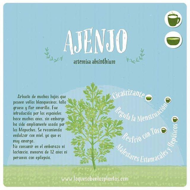 para que sirve el te de ajenjo