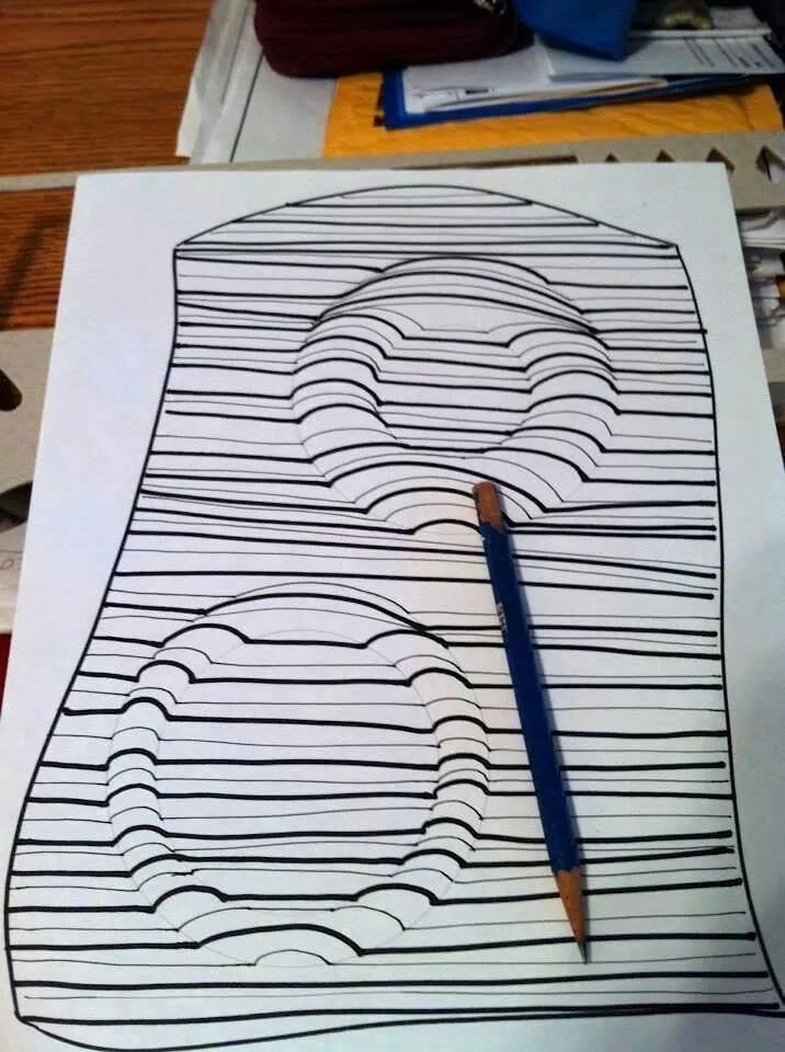 Contour Line Drawing Lesson Elementary : Best art project ideas op images on pinterest