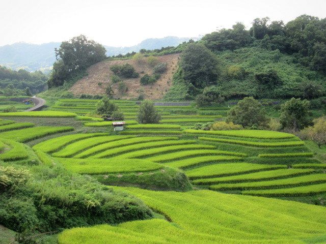 奥河内 下赤阪の棚田 こんな絶景がご近所に ぴきょログ 軽井沢でぐーたら生活 田舎 風景 棚田 風景 奥河内 下赤阪の棚田 こんな絶景がご近所に ぴきょログ 軽井沢でぐーたら生活 田舎 風景 棚田 風景