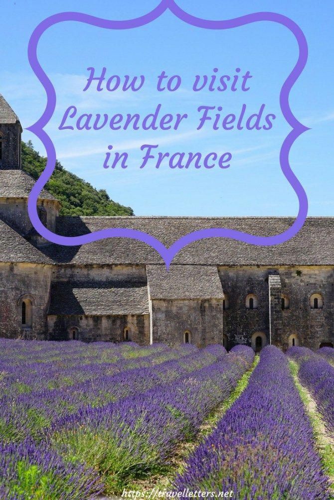 Lavender Fields In France Lavender Fields In Provence Lavender Fields South Of France Lavender Fiel France Travel France Travel Guide Lavender Fields France