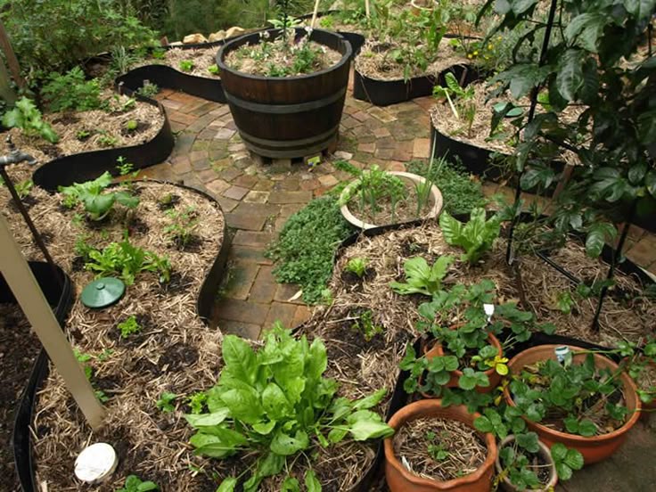 Pin By Danielle Domer On Plants Garden Townhouse
