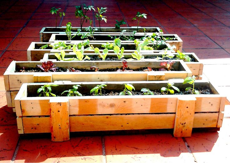 best 10+ pallet gardening ideas on pinterest | pallets garden best 10+ pallet gardening ideas on pinterest | pallets garden