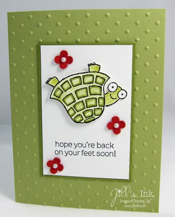 Turtle & Co. Get Well