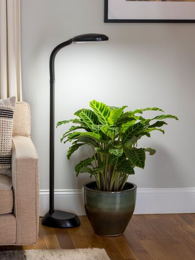 Floor Plant Lamp Full Spectrum Led Grow Light Free Lights For Plants Stand Floor Plant Lamp Full Spectrum Led, Can Lamps Provide Light For Plants