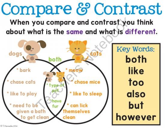 dogs and cats compare and contrast essay