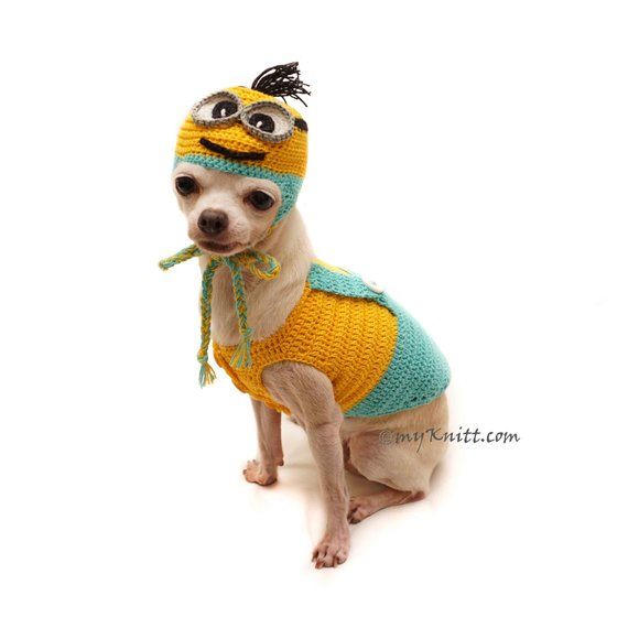 Minion Dog Clothes Crochet Minion Dog Hat Crochet Funny Dog