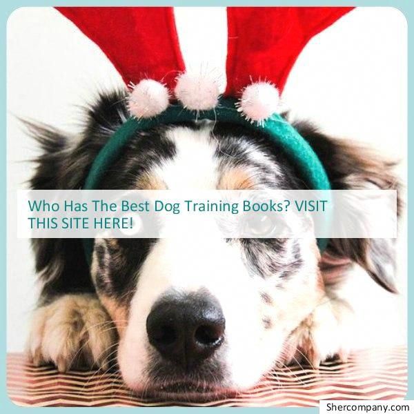 Get Free Techniques Tips And Information For Dog Training For