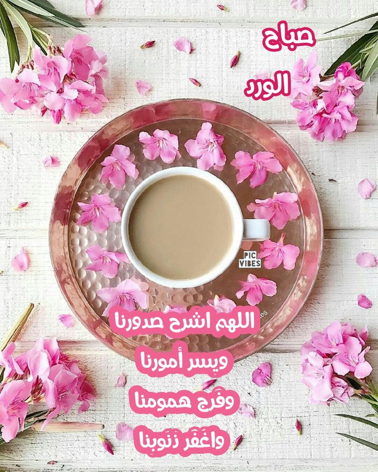 اكتر من 300 صور جديدةلصباح الخير Unique Photo Blog Blog Posts