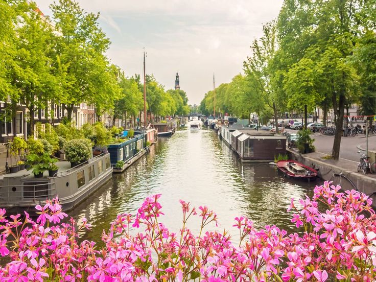 Amsterdam See the northern lights, Europe, Travel tours