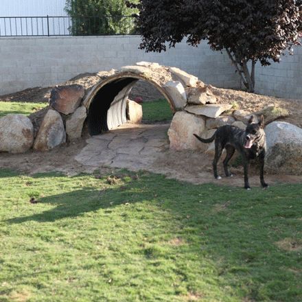 24 Best Work Stuff Images On Pinterest Dog Boarding Kennels Great Play Yard Idea