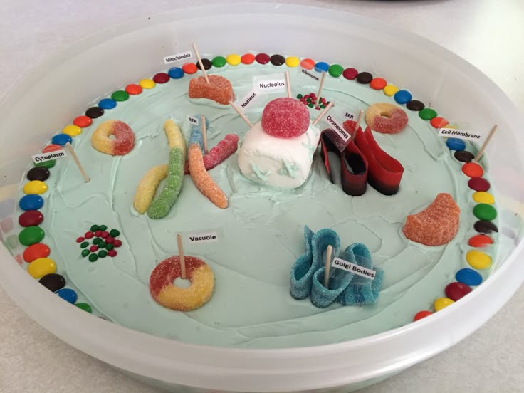 Model Of A Cell Cake Model Of A Cell Cake