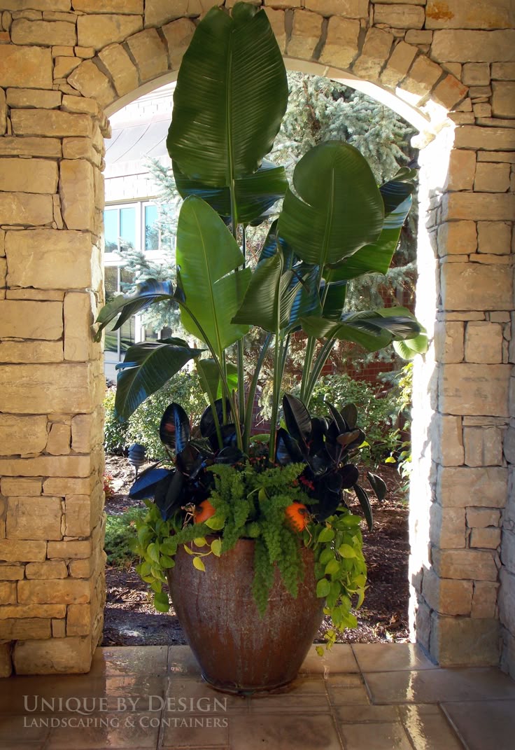 best 25+ tall planters ideas on pinterest | outdoor potted plants ... - Patio Container Garden Ideas best 25+ tall planters ideas on pinterest | outdoor potted plants ... - Patio Container Garden Ideas