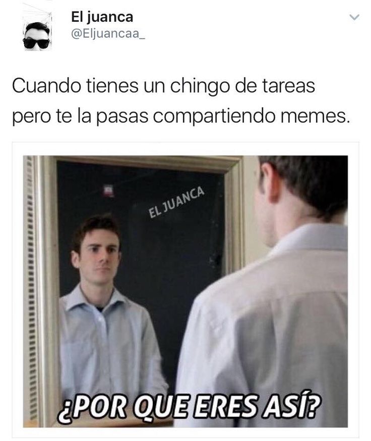 17 best memes images on pinterest 45b49e2a872fb103829c4d5707112c54 meme humor net 17 best memes images on pinterest