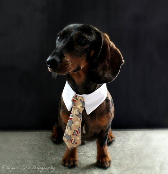 Sock Monkey Pet Necktie Collar Dog Necktie For Big Or Small Dog