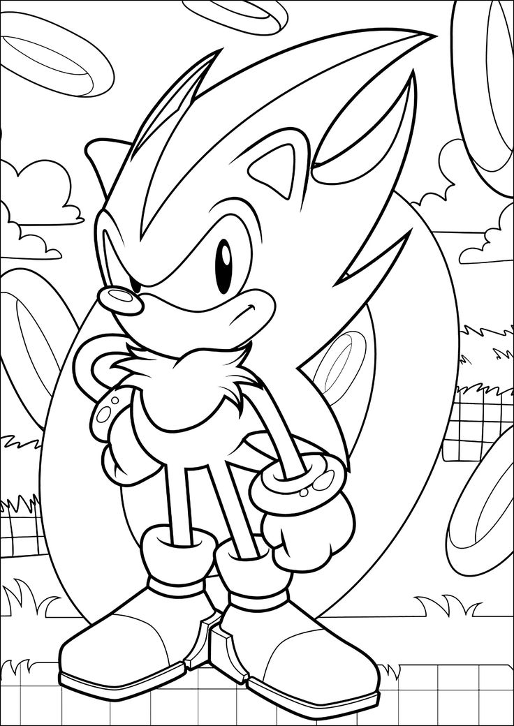 Shadow the hedgehog and a golden - 45ce8e80ed923ab8fb9ae5997b7bfcd1