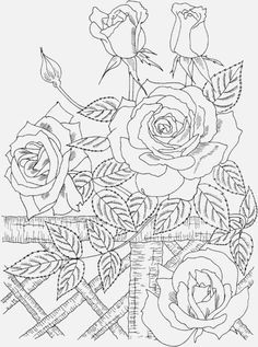 Best 25+ Online coloring pages ideas on Pinterest | Coloring book ... Best 25+ Online coloring pages ideas on Pinterest | Coloring book ...