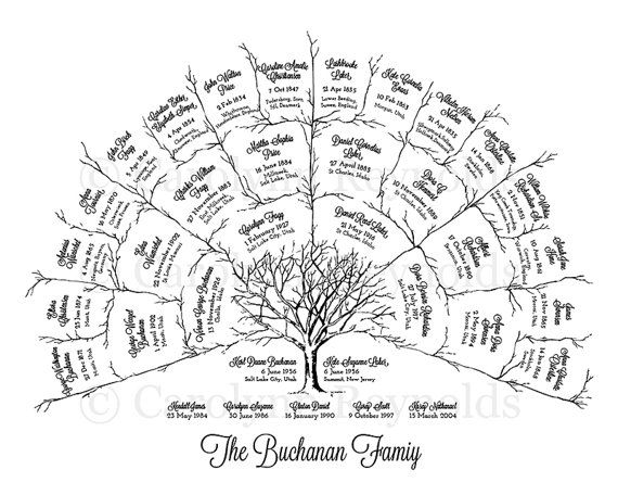 family genealogy tree