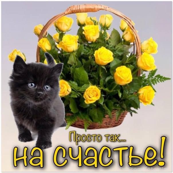 Красивая открытка подруге просто так, виде