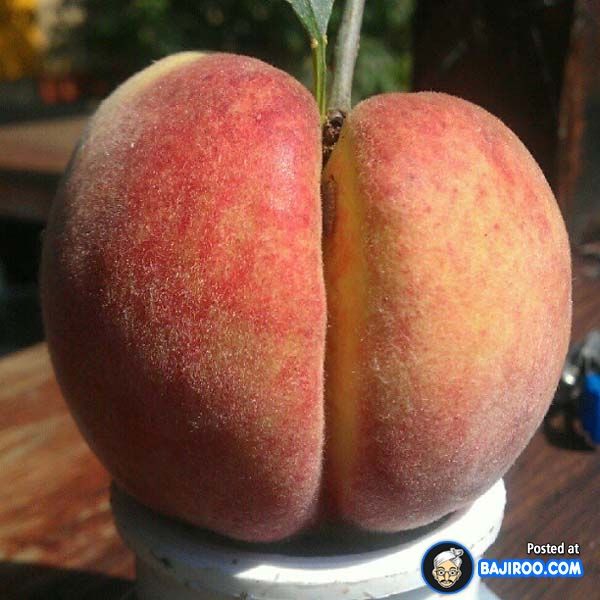 think, naked sex with food idea very good Nice