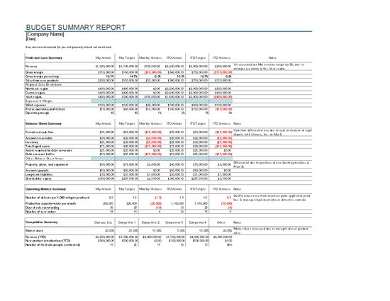 budget reports templates