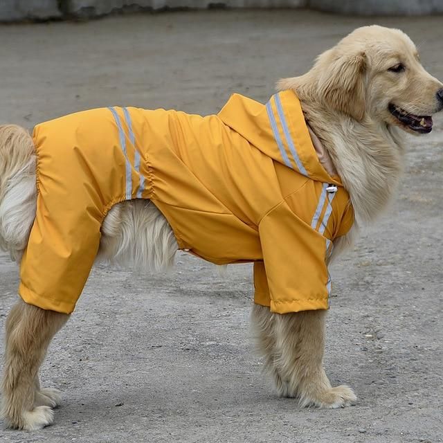 Canada Pooch Dog Raincoats Coats Boots Accessories Dog Raincoat Dog Coats Funny Dogs