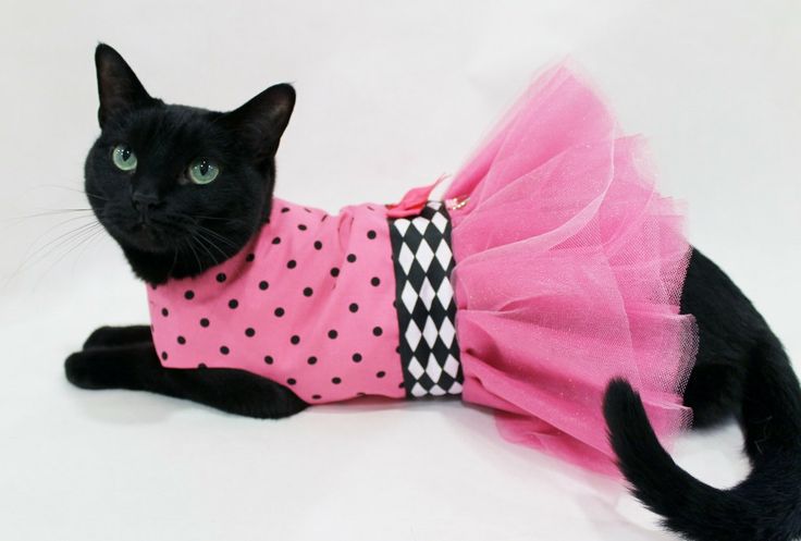 Dog Sweaters for Small Dogs, Cute Classic Pet Clothes, Boys and Girls, Cat Sweat