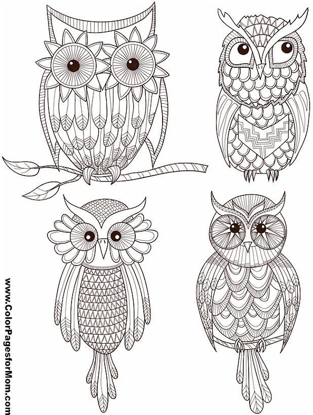 62 best Owl coloring pages images on Pinterest Owls, Mandalas and - copy baby owl coloring pages for adults 62 best Owl coloring pages images on Pinterest Owls, Mandalas and - copy baby owl coloring pages for adults