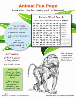 animal habitat worksheets for 2nd grade animal habitat worksheets for 2nd grade