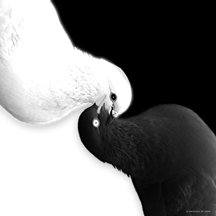 Principles Of Art Balance : Best symmetrical balance images on pinterest art is