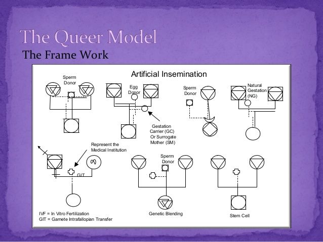 8 best Genograms and genography images on Pinterest Cover letter - ecomap template 8 best Genograms and genography images on Pinterest Cover letter - ecomap template