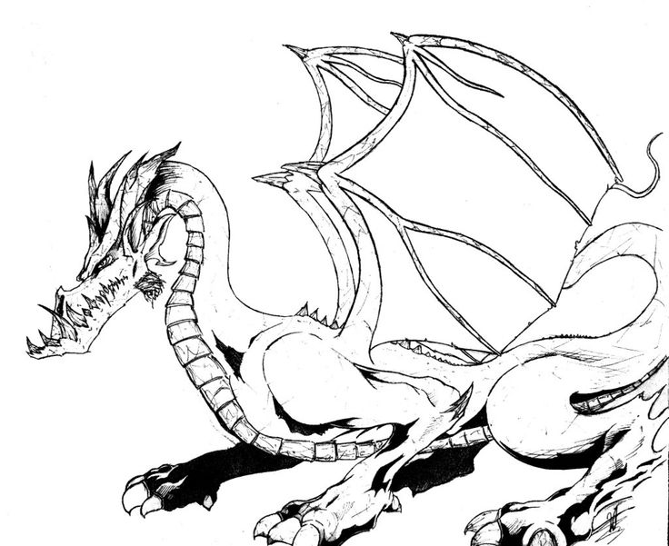 Coloring Pages For Dragons : 7 best 3rd grade images on pinterest children garden gardens and Coloring Pages For Dragons : 7 best 3rd grade images on pinterest children garden gardens and