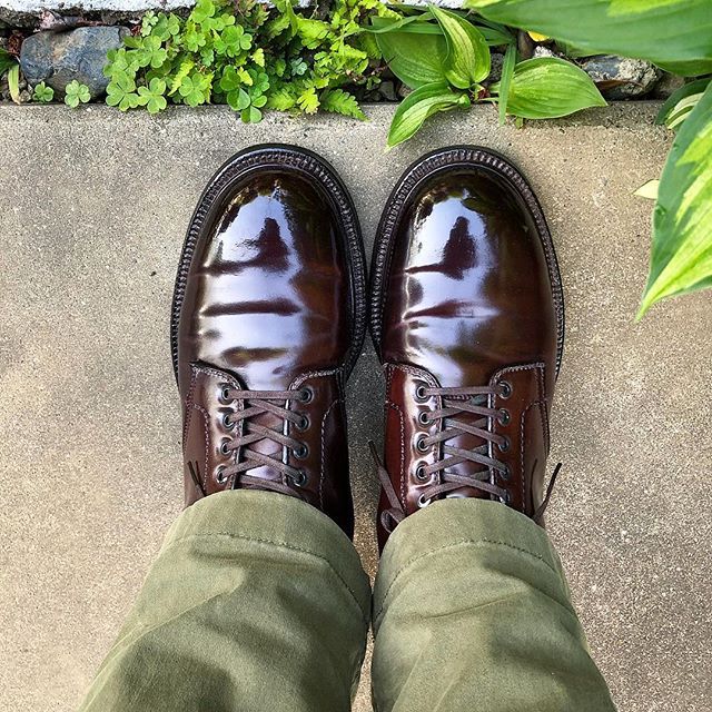 Alden 投票してから仕事行きます Alden Shoes Mensshoes Cordovan Sotd Shoesoftheday オールデン 紳士靴 革靴 コードバン 今日の足元 オールデン オールデン コードバン オールデン ブーツ Alden 投票してから仕事行きます Alden Shoes Mensshoes Cordovan Sotd Shoesoftheday オールデン 紳士靴 革靴 コードバン 今日の足元 オールデン オールデン コードバン オールデン ブーツ