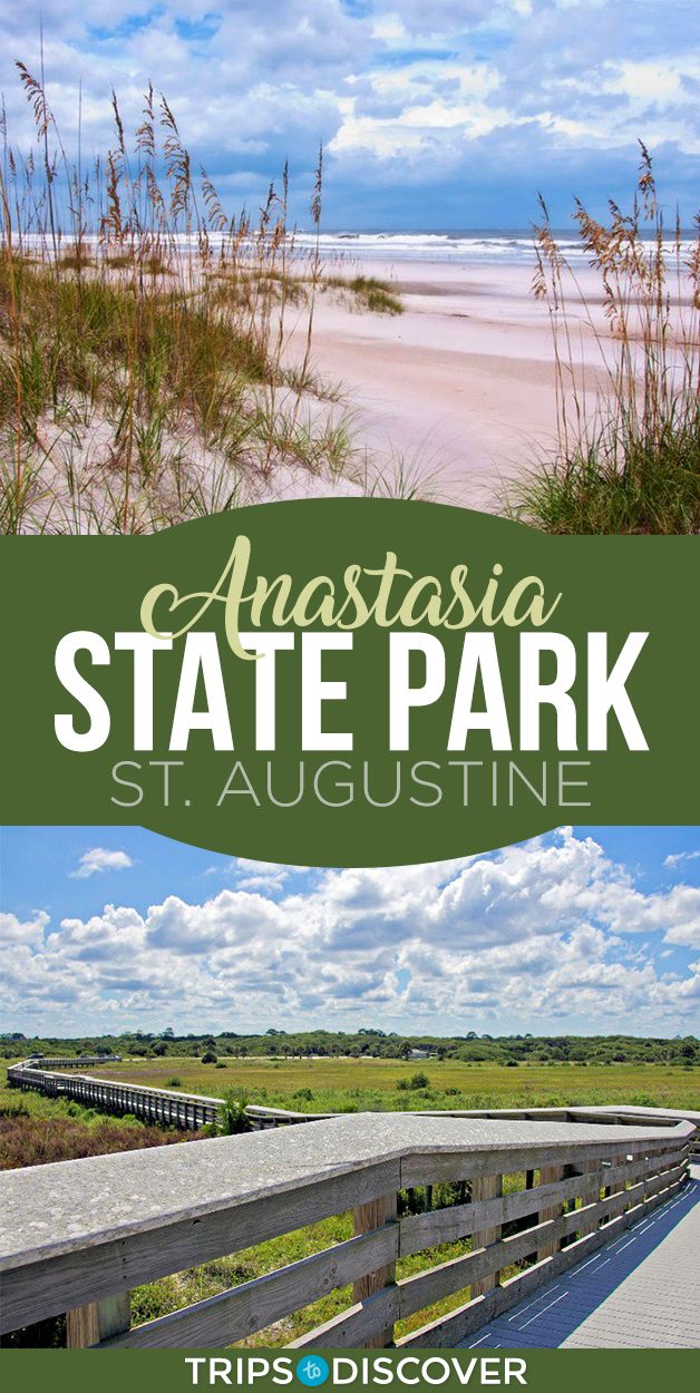 Anastasia Campground Map Jpg 1501 1617 State Park Camping Florida Camping State Parks