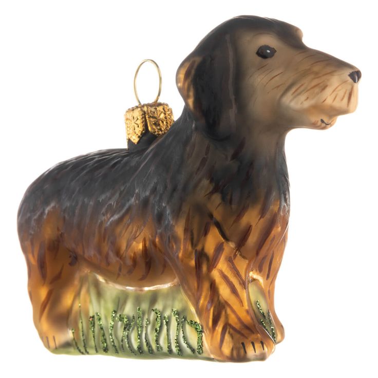 Christbaumkugel Rauhaardackel Dackel, Rauhaardackel, Niedliche hunde