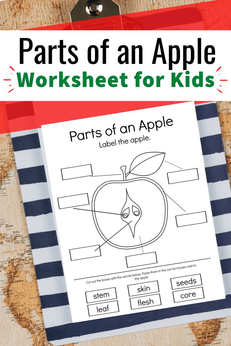 Free Printable Parts of an Apple Worksheet Preschool apple activities Free Printable Parts of an Apple Worksheet Preschool apple activities