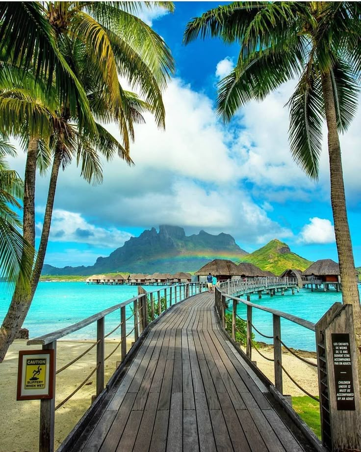 a wooden walkway leading to the beach with palm trees on both sides and mountains in the background